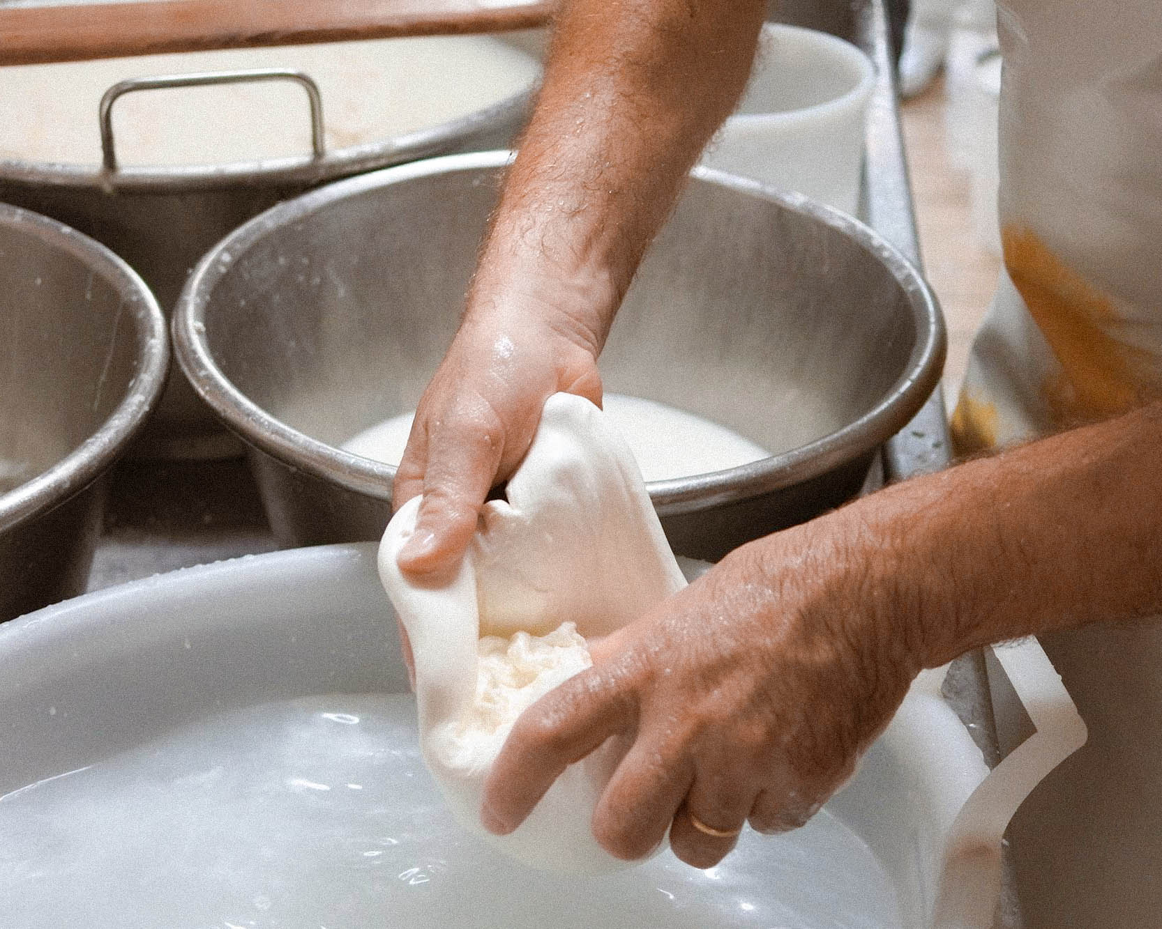 Say Cheese! volume two servo • 9 electric lane, leederville